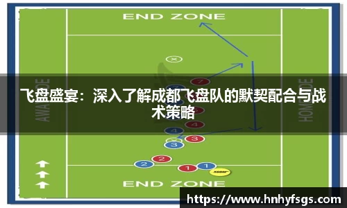 飞盘盛宴：深入了解成都飞盘队的默契配合与战术策略