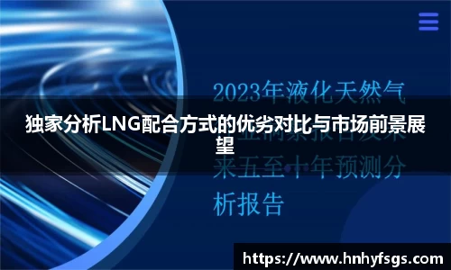 独家分析LNG配合方式的优劣对比与市场前景展望